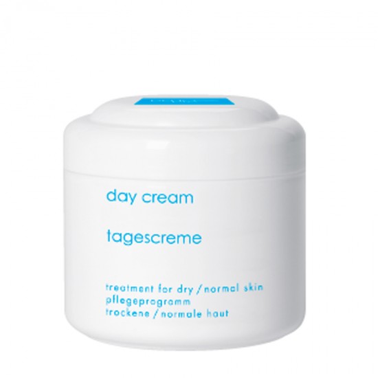 Dry-normal day cream 250ml Cosmetics